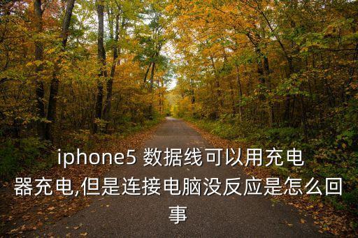  iphone5 數(shù)據(jù)線可以用充電器充電,但是連接電腦沒反應(yīng)是怎么回事
