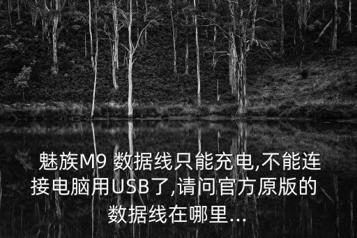  魅族M9 數(shù)據(jù)線只能充電,不能連接電腦用USB了,請(qǐng)問(wèn)官方原版的 數(shù)據(jù)線在哪里...