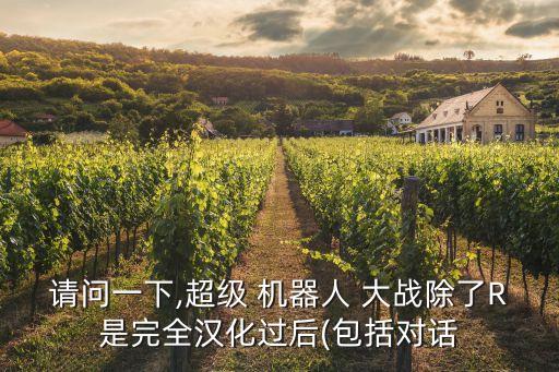 請問一下,超級 機(jī)器人 大戰(zhàn)除了R是完全漢化過后(包括對話