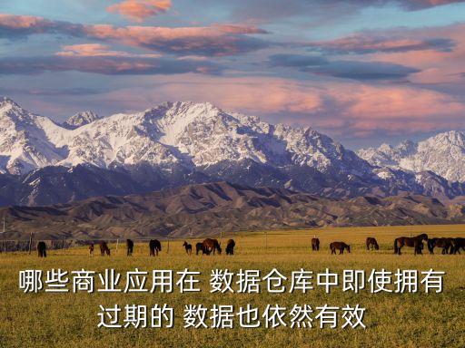 哪些商業(yè)應(yīng)用在 數(shù)據(jù)倉庫中即使擁有過期的 數(shù)據(jù)也依然有效