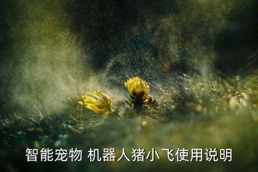 智能寵物 機器人豬小飛使用說明