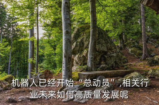 國產(chǎn)機(jī)器人行業(yè)分析