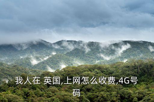 我人在 英國(guó),上網(wǎng)怎么收費(fèi),4G號(hào)碼