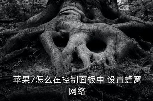 蘋果7數(shù)據(jù)網(wǎng)絡(luò)設(shè)置,蘋果數(shù)據(jù)網(wǎng)絡(luò)設(shè)置顯示電話號碼怎么取消