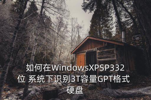 如何在WindowsXPSP332位 系統(tǒng)下識別3T容量GPT格式 硬盤