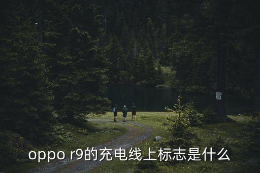r9數(shù)據(jù)線是什么號