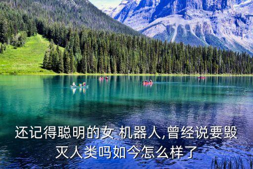 沙特公民機(jī)器人索菲亞,索菲亞機(jī)器人是哪個(gè)國家的公民