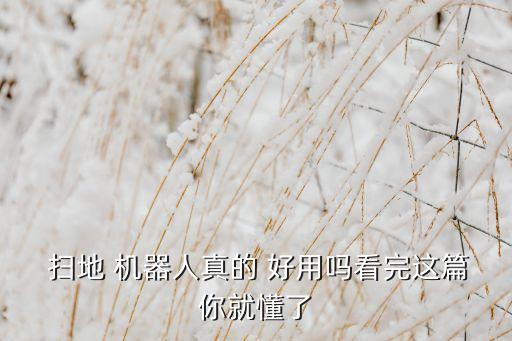  掃地 機器人真的 好用嗎看完這篇你就懂了