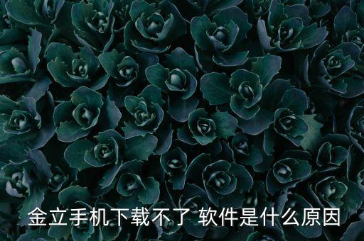  金立手機下載不了 軟件是什么原因
