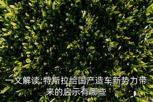 一文解讀:特斯拉給國(guó)產(chǎn)造車新勢(shì)力帶來(lái)的啟示有哪些