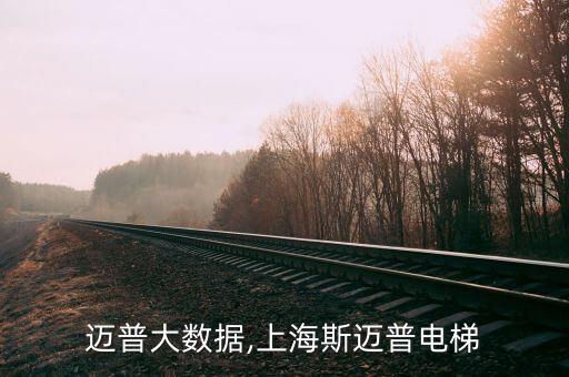 上海邁普大數(shù)據(jù),上海斯邁普電梯