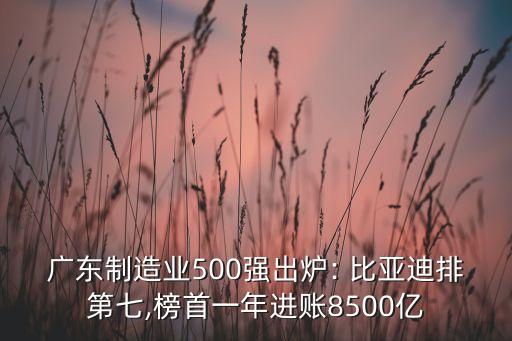 廣東制造業(yè)500強(qiáng)出爐: 比亞迪排第七,榜首一年進(jìn)賬8500億