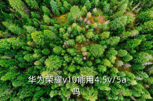  華為榮耀v10能用4.5v/5a嗎