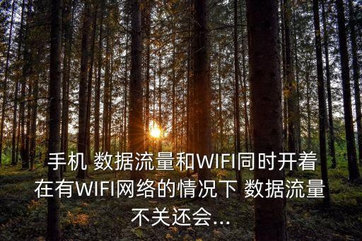 手機連著wifi又開數(shù)據(jù),蘋果手機連著WiFi卻用的流量