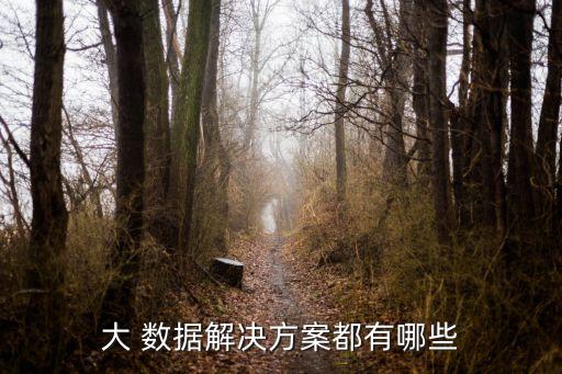 大 數據解決方案都有哪些