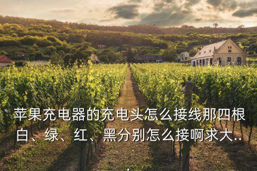 蘋果有紅色的數(shù)據(jù)線,蘋果數(shù)據(jù)線怎么連接電腦