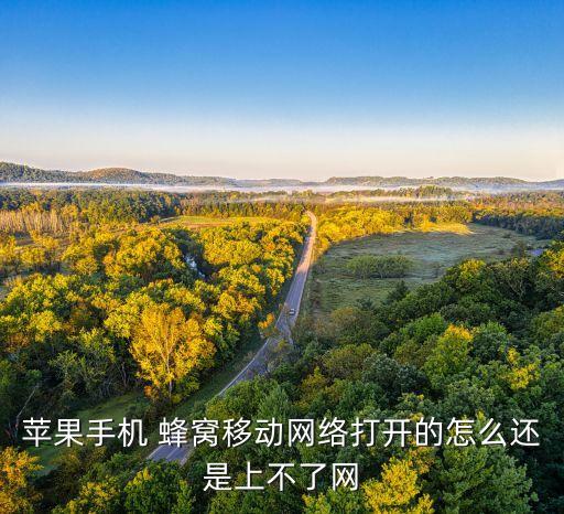 蘋果手機(jī) 蜂窩移動(dòng)網(wǎng)絡(luò)打開的怎么還是上不了網(wǎng)