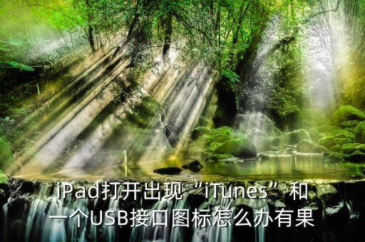 iPad打開出現(xiàn)“iTunes”和一個USB接口圖標(biāo)怎么辦有果