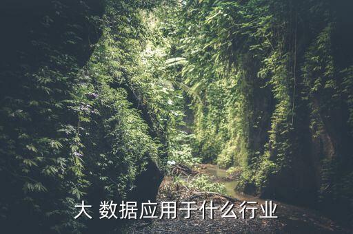 大 數(shù)據(jù)應(yīng)用于什么行業(yè)