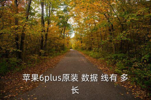 蘋果6plus原裝 數(shù)據(jù) 線有 多長