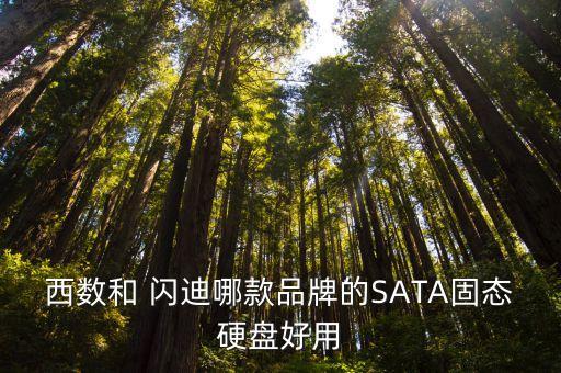 閃迪還是西部數(shù)據(jù),閃迪西部數(shù)據(jù)東芝哪個固態(tài)硬盤好