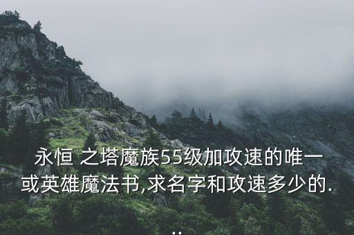  永恒 之塔魔族55級加攻速的唯一或英雄魔法書,求名字和攻速多少的...