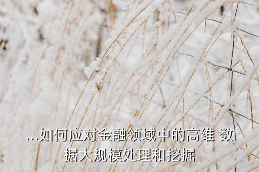 ...如何應(yīng)對(duì)金融領(lǐng)域中的高維 數(shù)據(jù)大規(guī)模處理和挖掘