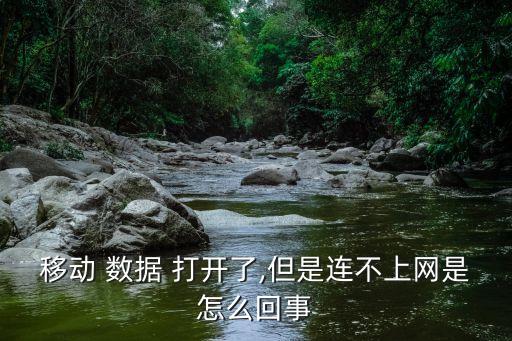 數(shù)據(jù)打開無法連接網(wǎng)絡(luò),iphone打開數(shù)據(jù)連接沒有網(wǎng)絡(luò)