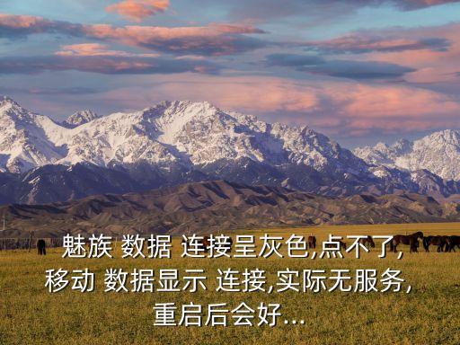  魅族 數(shù)據(jù) 連接呈灰色,點不了,移動 數(shù)據(jù)顯示 連接,實際無服務(wù),重啟后會好...