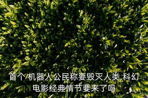 sophia 機(jī)器人 剛,機(jī)器人sophia的問世
