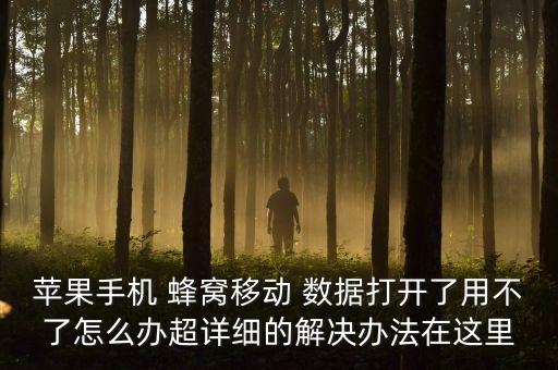蘋果手機 蜂窩移動 數(shù)據(jù)打開了用不了怎么辦超詳細的解決辦法在這里
