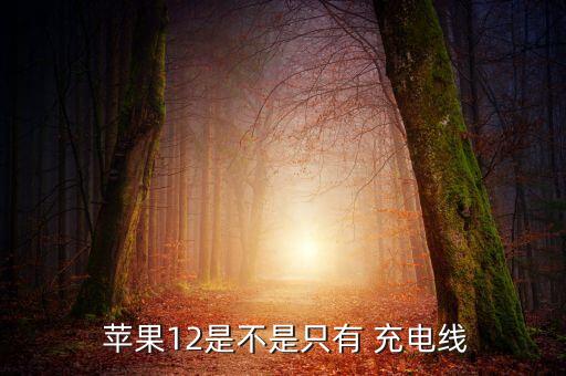  蘋果12是不是只有 充電線