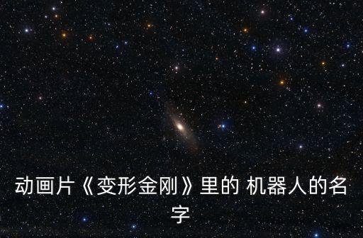 動(dòng)畫(huà)片《變形金剛》里的 機(jī)器人的名字
