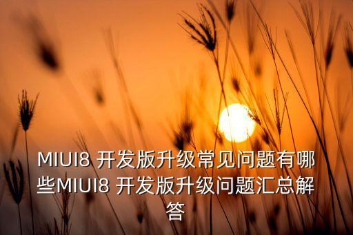 MIUI8 開發(fā)版升級常見問題有哪些MIUI8 開發(fā)版升級問題匯總解答