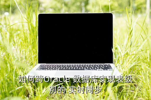 如何跨Oracle 數(shù)據(jù)庫(kù)實(shí)現(xiàn)表級(jí)別的 實(shí)時(shí)同步