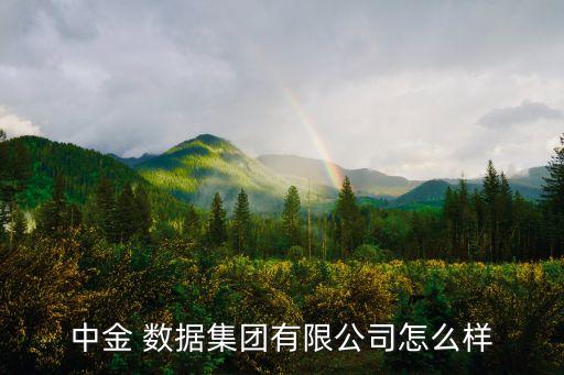 中金 數(shù)據(jù)集團有限公司怎么樣