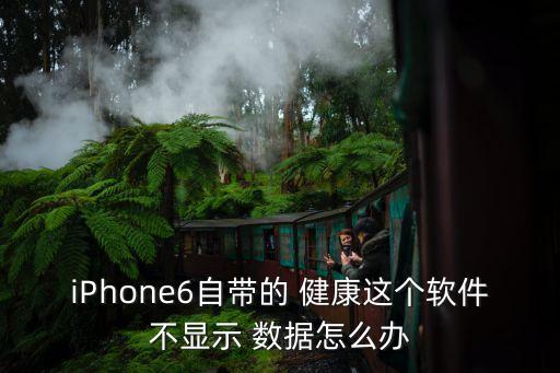 iPhone6自帶的 健康這個軟件不顯示 數(shù)據(jù)怎么辦