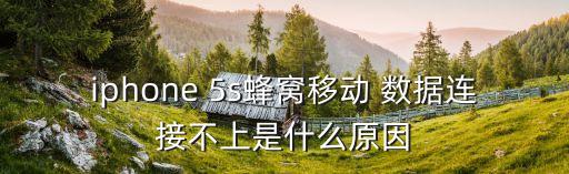 iphone 5s蜂窩移動(dòng) 數(shù)據(jù)連接不上是什么原因