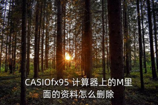 CASIOfx95 計(jì)算器上的M里面的資料怎么刪除
