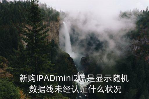 新購IPADmini2總是顯示隨機 數(shù)據(jù)線未經(jīng)認證什么狀況