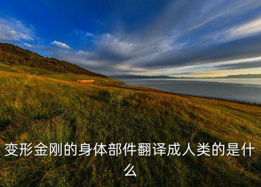變形金剛的身體部件翻譯成人類(lèi)的是什么