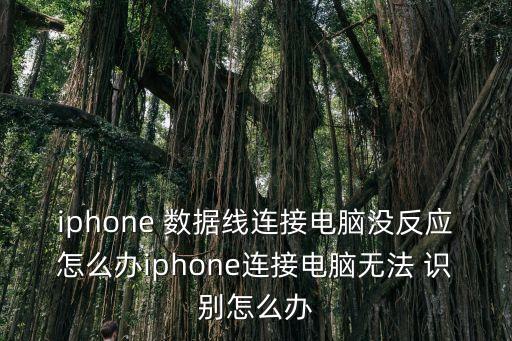 iphone 數(shù)據(jù)線連接電腦沒反應(yīng)怎么辦iphone連接電腦無法 識別怎么辦