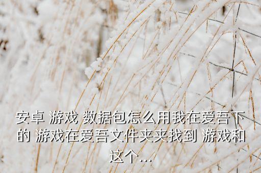 安卓 游戲 數(shù)據(jù)包怎么用我在愛(ài)吾下的 游戲在愛(ài)吾文件夾夾找到 游戲和這個(gè)...