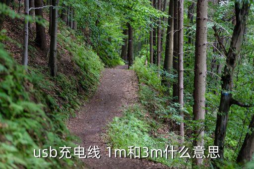 usb充電線 1m和3m什么意思