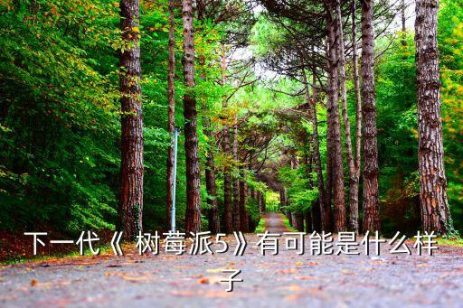 樹莓派機(jī)器人寶典 pdf