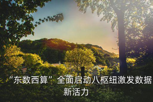 中衛(wèi)數(shù)據(jù)中心的現(xiàn)狀,寧夏中衛(wèi)數(shù)據(jù)中心新建項(xiàng)目
