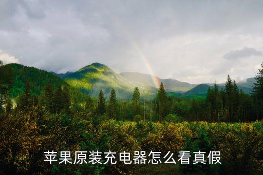  蘋果原裝充電器怎么看真假