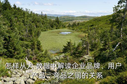 怎樣從大 數(shù)據(jù)中解讀企業(yè)品牌、用戶、產(chǎn)品、競品之間的關(guān)系