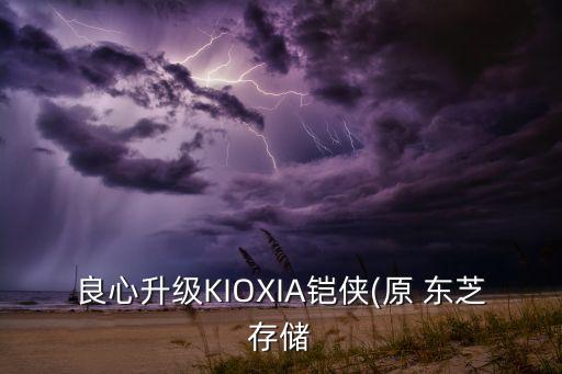 東芝ssd數(shù)據(jù)拷貝