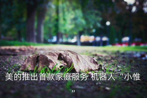 美的推出首款家庭服務(wù) 機(jī)器人“小惟”